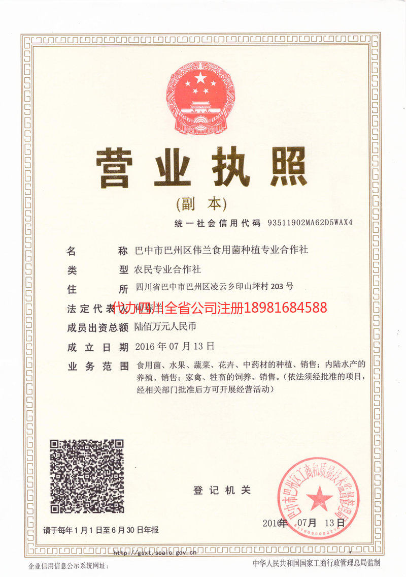 冷水江冷水江伟兰食用菌种植专业合作社